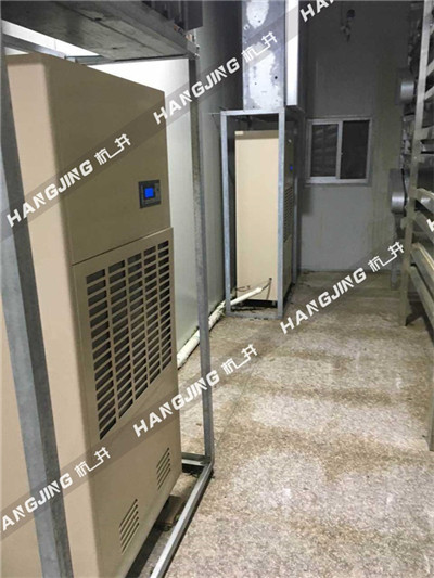 地下室車庫工業(yè)抽濕機